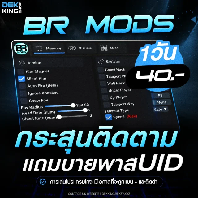 BR MODS